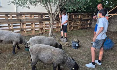 A Villorba il Grest del “buon pastore”: un gregge affidato ai ragazzi di terza media
