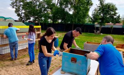 Manager no profit: progetti attivi alla cooperativa Sonda