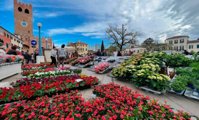 “Noale in fiore” torna a colorare le piazze