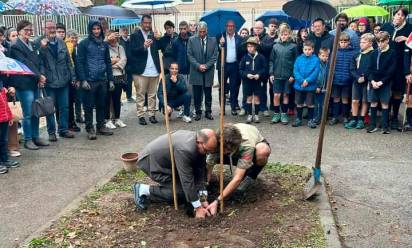 La piantumazione del carpino a Montebelluna - Foto pagina Facebook di Andrea Berton