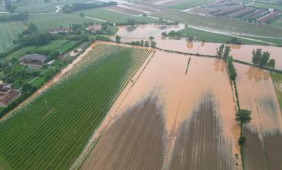Cambiamenti climatici e agricoltura: produzioni compromesse