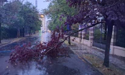 Tempesta sulla Marca: danni anche a Treviso