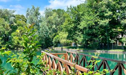 Proteggere la biodiversità del fiume Sile