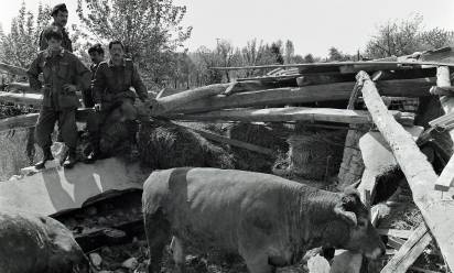 Cinquant’anni fa in Friuli i giovani volontari di Treviso