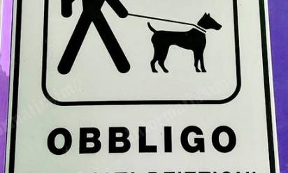 Sanzioni se Fido sporca e il suo padrone non pulisce