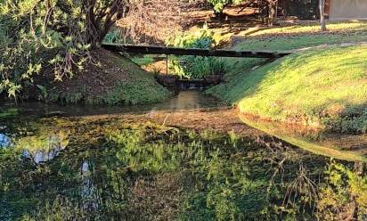 Passo avanti verso il parco del Botteniga a Treviso