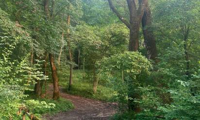 Il bosco di Fagarè si estende su 150 ettari ed è un sito di importanza comunitaria