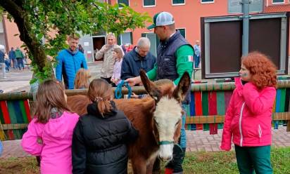 Monigo: torna la Festa della fragola