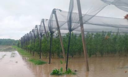 Maltempo. stato d’allerta per le campagne venete
