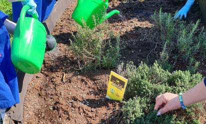 Asolo, orto didattico alla scuola primaria