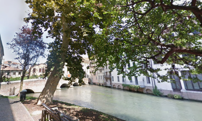 Treviso: sarà abbattuto il platano del ponte di San Francesco