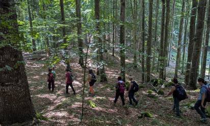 Montagnaterapia: natura benefica per le persone fragili