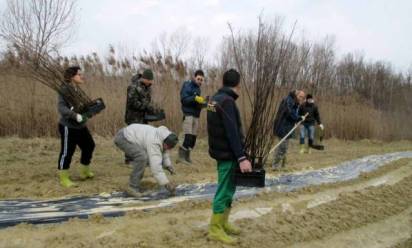Gaggio: duemila nuovi alberi nell'oasi Lipu