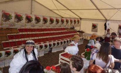 A Camposampiero la 45ª edizione della Festa della Fragola