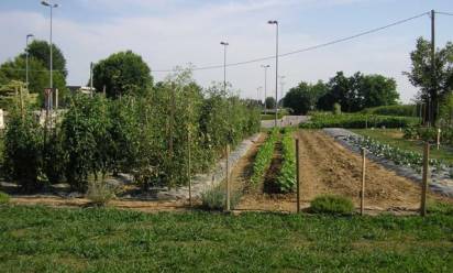 Tombolo, l'orto solidale di Caritas e Masci