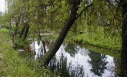 Le proposte dei quartieri si fanno strada: dalla Restera 2 per il Botteniga alla pista ciclabile per gli studenti