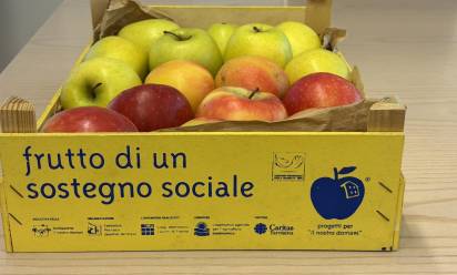 Un frutto per il sostegno alle persone con disabilità