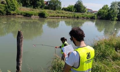 Operazione fiumi di Legambiente: le rilevazione sul fiume Sile