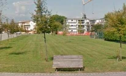 Un nuovo bosco urbano per drenare le piogge a Castelfranco