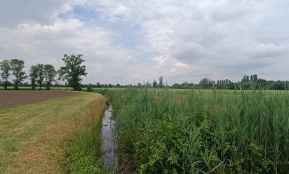 Ampliamento di Veneta Cucine a San Biagio, la preoccupazione di Legambiente