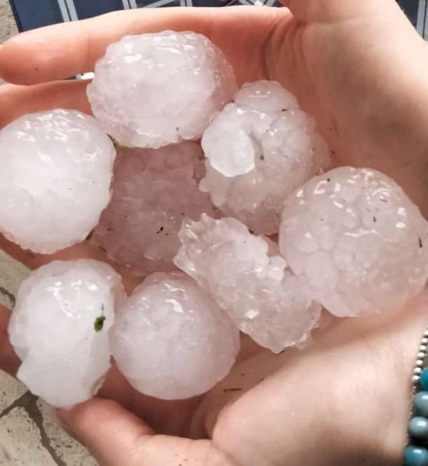 Chicchi di grandine come palle da golf, raccolti andati in fumo. Il maltempo devasta la Pedemontana