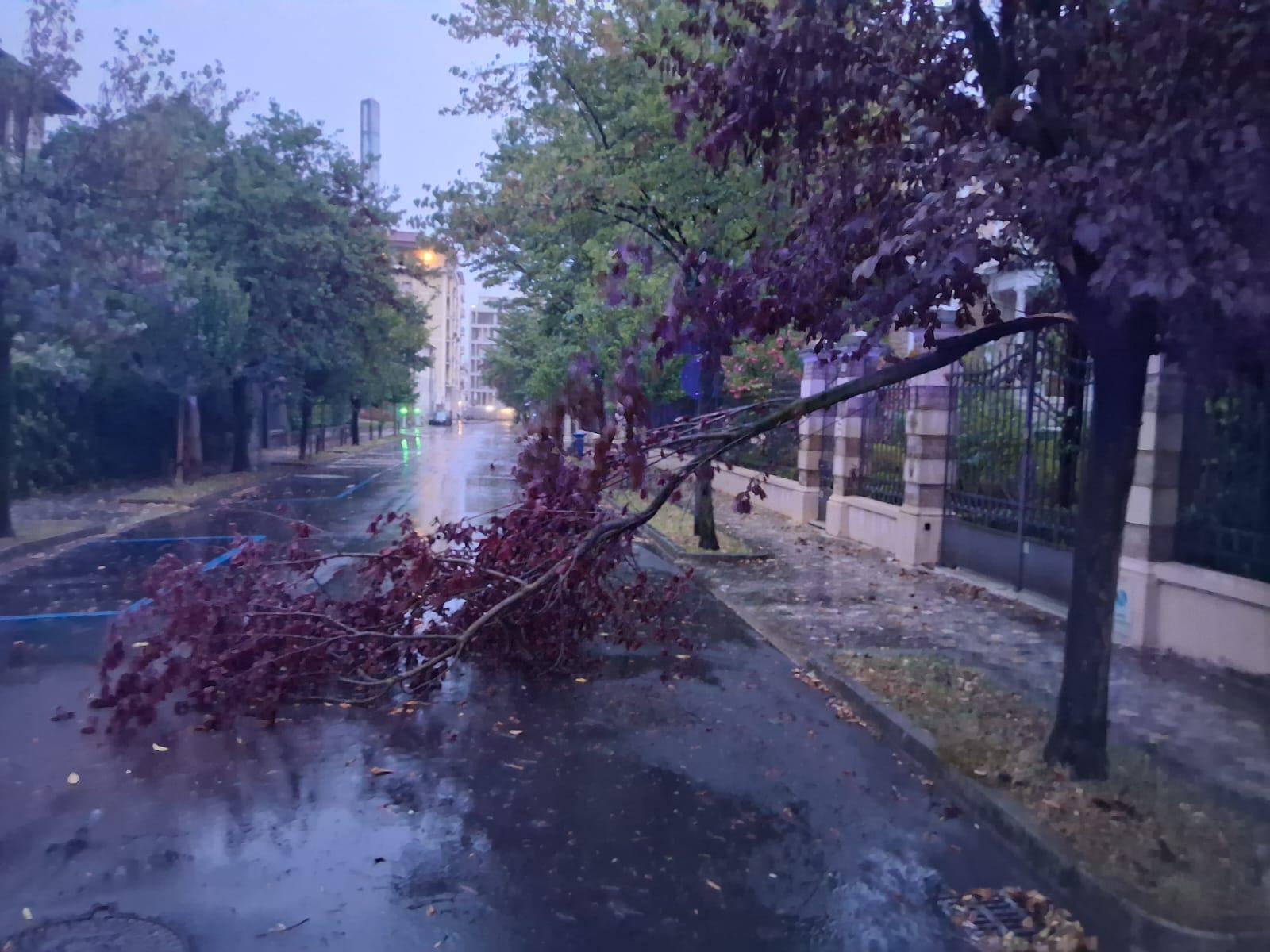 Tempesta sulla Marca: danni anche a Treviso